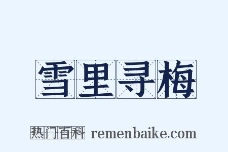 雪里寻梅是什么意思的图片